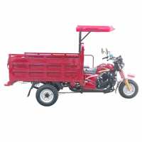 Nouveauté : Tricycle motorisé à moteur essence 200cc avec benne ouverte et toit, capacité de charge lourde pour le transport de marchandises agricoles