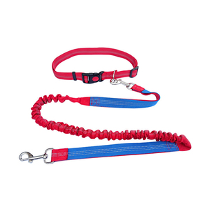 Bungee Running Hands Free guinzaglio per cani corda di trazione riflettente corda di Nylon cintura elastica cintura da corsa per cani guinzaglio a mani libere per cani - Product Image 4