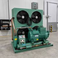 Unité de condensation semi-hermétique de type U refroidie par air avec compresseur Copeland et double ventilateur, système de réfrigération économe en énergie pour chambre froide