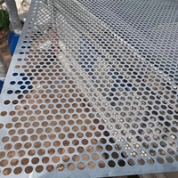 Tôle perforée en acier inoxydable sur mesure 304 316, tôle métallique micro-perforée, plaque métallique perforée