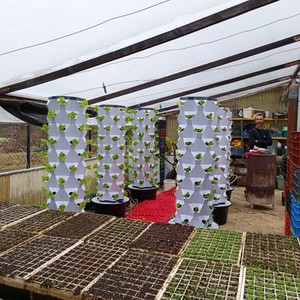 การปลูกพืชในร่มแบบแนวตั้งด้วยระบบ Aeroponic พร้อมไฟ LED สำหรับมะเขือเทศและ<span class=keywords><strong>แตงกวา</strong></span> - Product Image 6