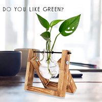 Terrarium pour plantes avec support en bois, vase à bulbe pour plantes aquatiques hydroponiques d'intérieur, décoration de bureau, vase à 1 ampoule