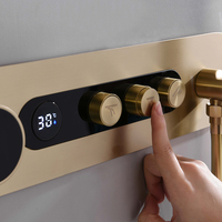 Pommeau de Douche Mural Hygiénique en Acier Inoxydable Brossé Doré de Haute Qualité, Jet de Massage Thermostatique Contemporain