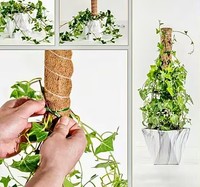 Poteau de soutien pour plantes en fibre de coco naturelle, support pour plantes grimpantes, bâton de soutien pour plantes grimpantes