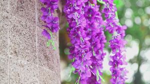 Livraison Rapide Guirlande Artificielle Multicolore en Soie, Vignes de Glycine Blanches Artificielles Suspendues pour Décoration Murale Mariage et Maison - Product Image 5