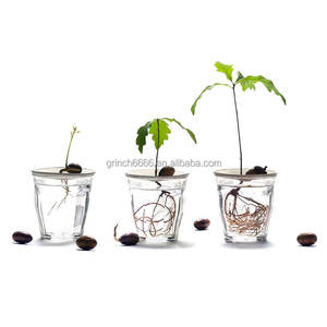 Macetas <span class=keywords><strong>de</strong></span> Germinación para Aguacates, Bellotas, Legumbres y Nueces, Soporte para Plantas, Macetas <span class=keywords><strong>de</strong></span> Hidroponía para Semillas <span class=keywords><strong>de</strong></span> Aguacates y Bellotas - Product Image 3