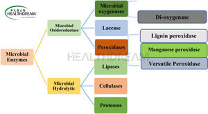 Wuhan Healthdream neutro lattasi preparato 200,000 campione di grado USP U/g disponibile - Product Image 2
