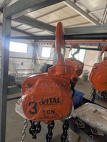 Offre Spéciale de type japonais palan à chaîne à main 1 tonne 2 tonnes 3 tonnes 5 tonnes palan manuel industriel à poulie à chaîne