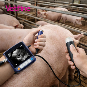 Tragbares Veterinär-Ultraschallgerät für Nutztiere zur Überwachung der Rückenfettstärke und der Fortpflanzung - Product Image 2