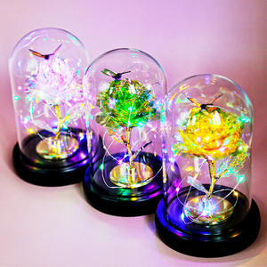 TC 24K oro rosa en cúpula de cristal para mujeres mamá Día de San Valentín Día de la Madre Regalos DIY adornos flores rosas artificiales - Product Image 1