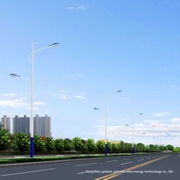 Lampadaires à double bras en gros ; Poteaux d'éclairage en acier galvanisé à chaud (6m-12m) ; Luminaires routiers urbains LED 100W à indice de protection IP65