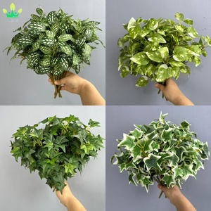 Künstliche Grünpflanzen Ranken <span class=keywords><strong>Efeu</strong></span> Blätter Zweige Vasenfüller Sträucher Seidenblätter Blumendekoration für Zuhause Hochzeit Tischdekoration - Product Image 3