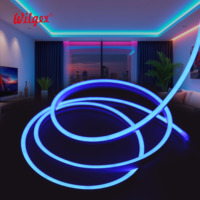 Bande lumineuse LED néon flexible en silicone IP68 étanche 6x12mm RGB pour publicité extérieure, fabrication OEM en Chine