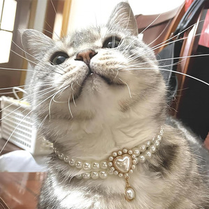 Collier de perles double couche pour animaux de compagnie, pendentif en forme de cœur, collier pour chat et chien, blanc, bleu, or, vert, bijoux en plastique durables - Product Image 3