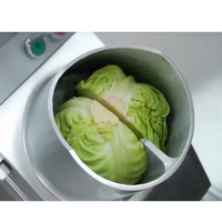 Zware, hoogprecieze groentesnijmachine, multifunctioneel voor restaurants, groenteverwerkingsbedrijven en fruitverwerking