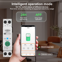 Disjoncteur Intelligent WiFi TUYA 63A MCB avec Protection Contre les Surintensités et Sous-Tensions, Mesure de Puissance et Contrôle à Distance Sans Fil