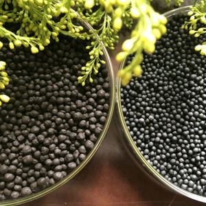 Fertilizante granular negro de ácido húmico Fuente mineral Fulvato de potasio Copos orgánicos K2o 10-12 Grandes para la Agricultura - Product Image 5