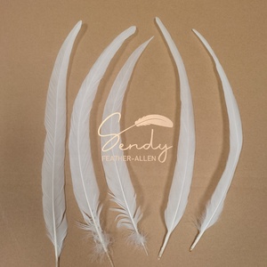Plumas de gallo súper blancas al por mayor de 12-14 pulgadas para atado de moscas, tocados, carnaval, mochilas y decoraciones - Product Image 4