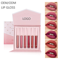 Fabricant OEM ODM de gloss à lèvres, maquillage végétalien et sans cruauté animale, fournisseur de marques de beauté en marque blanche, ensemble de gloss à lèvres mats pour maquillage