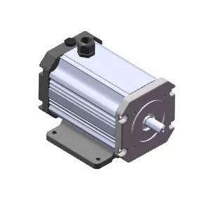 Dc Motor EMP013 72V 4kw 4000W 2580Rpm 65.36Amp 14.81Nm EB3 B14 B34 B5 Lectro-Driewieler Bldc borstelloze Dc Motor Met Controller