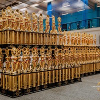 Trophée personnalisé de baseball et de cricket pour la compétition scolaire et les entraînements des enfants – Personnalisation de trophées de cricket et de baseball