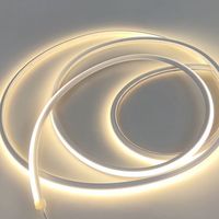 Bande LED flexible en cuivre IP65 2835 SMD 120LEDs/m blanc chaud avec télécommande et USB, DC12V/24V/5V