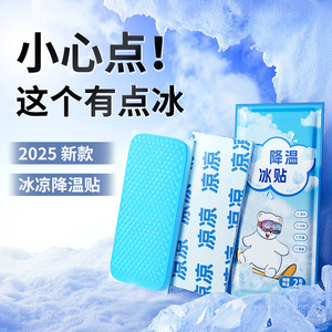 Cooling Patch Large Size 10 Pads Long Lasting Icy Coolness For Outdoor Sports And Daily Use - Product Image 5