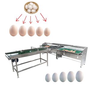 Küçük otomatik yumurta tartım ve sıralama derecelendirme makinesi sıralayıcı ördek tavuk kaz yumurta boyutu greyder 1000 pcs/h Candler ile - Product Image 1