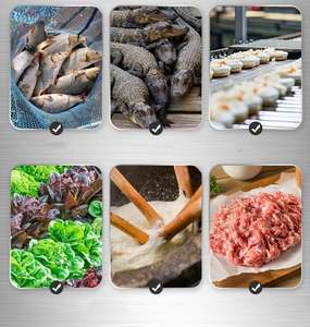 Barato al por mayor comercial a gran escala <span class=keywords><strong>de</strong></span> alimentación <span class=keywords><strong>de</strong></span> perros <span class=keywords><strong>picadora</strong></span> <span class=keywords><strong>de</strong></span> pollo marcos congelados pescado ganado carne <span class=keywords><strong>de</strong></span> oveja <span class=keywords><strong>picadora</strong></span> - Product Image 6