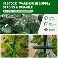 Support de treillis d'extérieur pour vigne, fleurs, tomates, haricots, melons, avec revêtement plastique