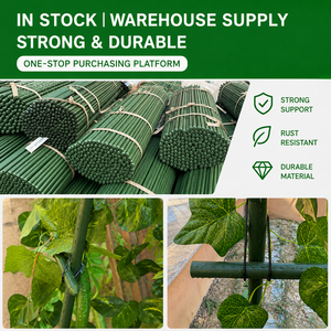 Support de <span class=keywords><strong>treillis</strong></span> d'extérieur pour vigne, fleurs, tomates, haricots, melons, avec revêtement plastique - Product Image 2