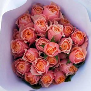 Rosas <span class=keywords><strong>de</strong></span> varias cabezas hechas a mano <span class=keywords><strong>de</strong></span> alta calidad para Navidad, boda, decoraciones <span class=keywords><strong>de</strong></span> Acción <span class=keywords><strong>de</strong></span> Gracias, suministro directo <span class=keywords><strong>de</strong></span> puestos, tienda <span class=keywords><strong>de</strong></span> flores, comunidad - Product Image 2