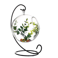 Prix d'usine Vase en verre borosilicaté Plantes artificielles Pot Vase en verre Plante Terrarium