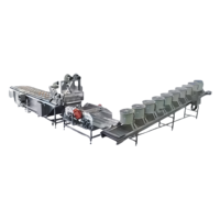 Hogedruk Fruit En Blad Groente Bubbel Wasmachine Sla Gember Vibrerende Ontwatering Machine Wind Blower Droger