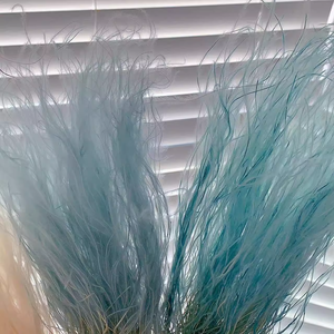 Herbe à plumes Stipa Tenuis séchée et préservée, couleur faiblement saturée, belle fleur naturelle, faite à la main, taille personnalisée, longue durée - Product Image 4