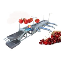 Goede dienst na verkoop MRC-FJ roller sizer cherry tomaat sorteren machine fruit grading machine