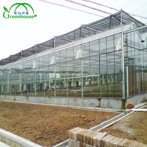 <span class=keywords><strong>Serre</strong></span> en <span class=keywords><strong>verre</strong></span> de Style allo néerlandais, avec toit mobile, deuxième main - Product Image 3