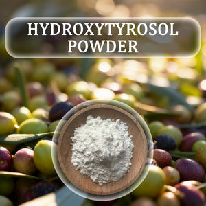 Doğal Zeytin Yaprağı Ekstresi Saf Gıda Sınıfı %20 Hidroksitirosol Tozu - Product Image 5