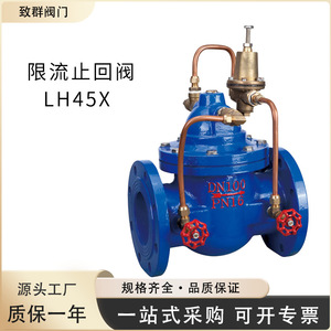 Válvula de Retención LH45X con Sello de Goma Hidráulico para Agua, Temperatura Normal, Aplicación General - Product Image 5