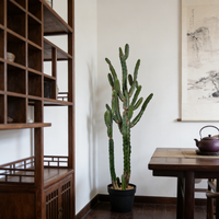 Plantes succulentes artificielles en faux cactus de 120 cm, plantes du désert, plantes tropicales durables pour la décoration murale de mariage, usage domestique et de bureau