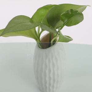 Auto-Fenster-Sonnenschutzfolien 1,52*30 M Grüne Nano-Keramik-Autoscheibentönung - Product Image 3