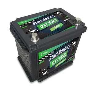 Lifepo4 Deep Cycle Car Battery 12v 100ah Automotive Battery 1Kw Lithium Iron Phosphate