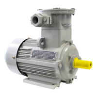 Moteur asynchrone triphasé antidéflagrant GEXIN série YBE4, efficacité IE1, 0,75 kW, 380 V, 3000 tr/min, 50 Hz/60 Hz, garantie 18 mois
