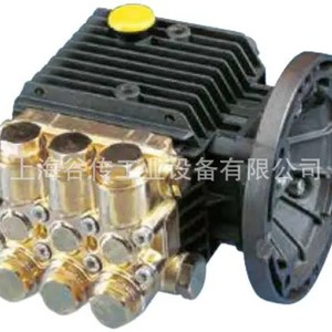 Pompe à piston Interpump Ws 251, basse pression, traitement de l'eau industrielle, 150C - Product Image 1