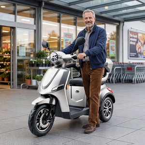 Scooter à trois roues de haute qualité, nouvelle version, avec siège, 800W, autonomie de 55 km, vitesse de 25 km/h - Product Image 2
