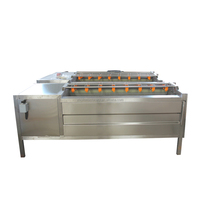 Industriële groente- en viswasmachine, schilmachine, wortelgroente- en fruitverwerkingsapparatuur, aardappelwasmachine, motor 304
