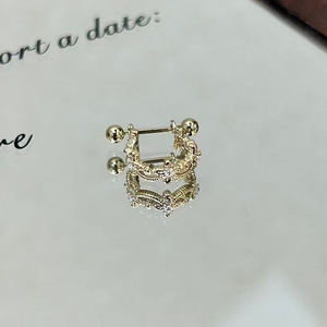 थोक नए व्यक्तित्व जिरकॉन ईयररिंग्स ट्रेमस भेदी गहने श्रृंखला लोब कान - Product Image 5