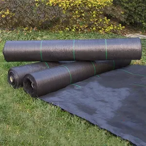 Tissu plastique Agricole Noir Pp Tissé Membrane Maille Arrêt Herbe Croissance Barrière Contre Les Mauvaises Herbes Rouleau Contrôle Tissu Tapis Contre Les Mauvaises Herbes