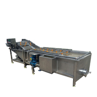 Volledig automatische fruitwasmachine met roterende borstel en hogedruksproeier voor appels, sinaasappels en wortelgroenten