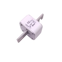 Fusible semi-conducteur équivalent F170M6168 |   Fusible industriel haute vitesse pour les distributeurs d'électronique de puissance
